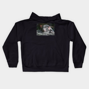 Tasmanian Devil Kids Hoodie